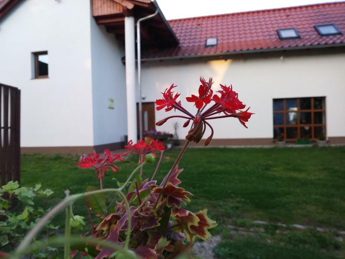 Agroturystyka Struzka Bronkow Exterior photo